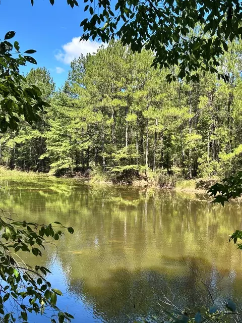 6316 Adams Rd, Smithdale, MS 39664 photo 24