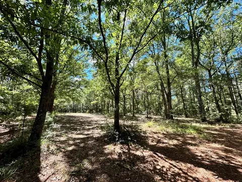 6316 Adams Rd, Smithdale, MS 39664 photo 15