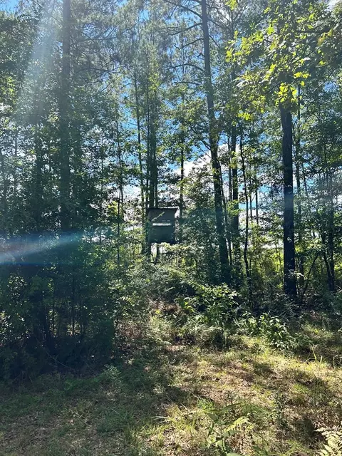 6316 Adams Rd, Smithdale, MS 39664 photo 9