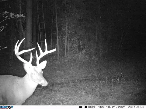 6316 Adams Rd, Smithdale, MS 39664 photo 3