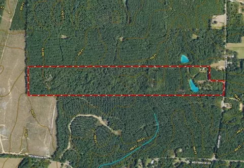 6316 Adams Rd, Smithdale, MS 39664 photo 26