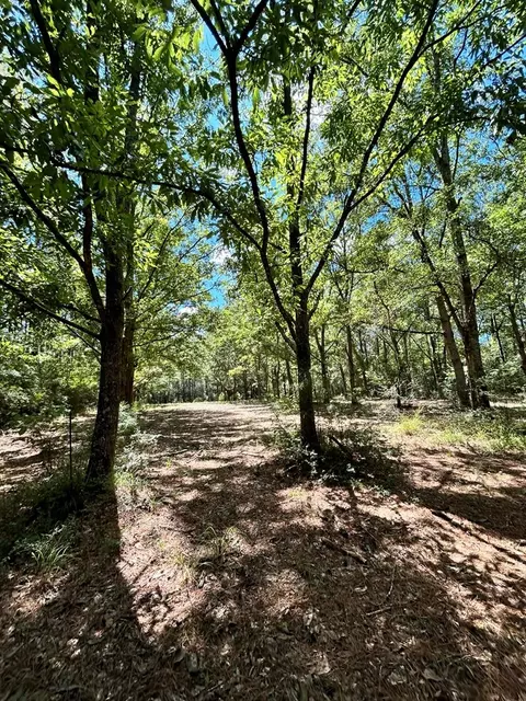 6316 Adams Rd, Smithdale, MS 39664 photo 16