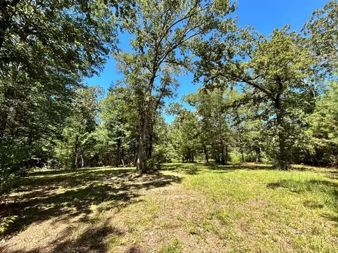 6316 Adams Rd, Smithdale, MS 39664 photo 2
