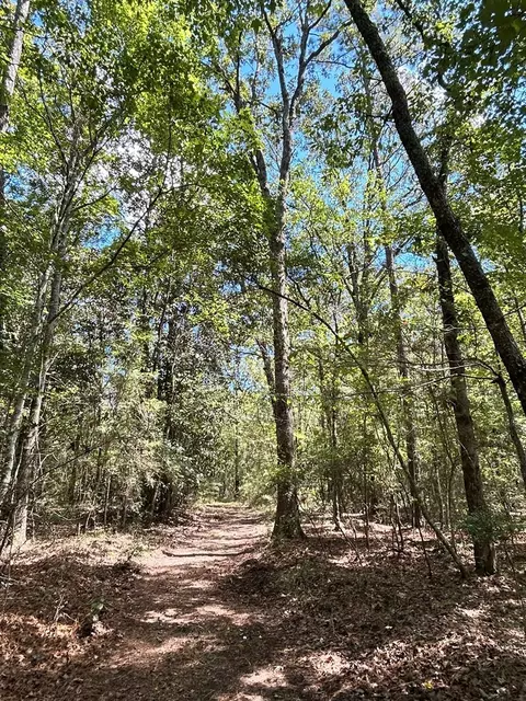 6316 Adams Rd, Smithdale, MS 39664 photo 11