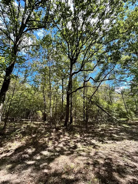 6316 Adams Rd, Smithdale, MS 39664 photo 12