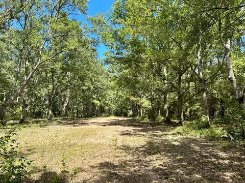6316 Adams Rd, Smithdale, MS 39664 photo 18