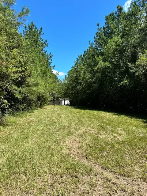 6316 Adams Rd, Smithdale, MS 39664 photo 19