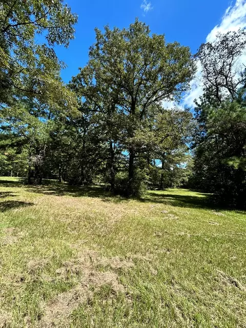 6316 Adams Rd, Smithdale, MS 39664 photo 22