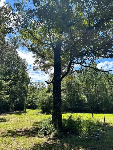 6316 Adams Rd, Smithdale, MS 39664 photo 4