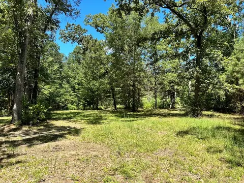 6316 Adams Rd, Smithdale, MS 39664 photo 8
