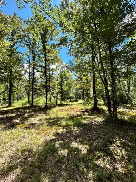 6316 Adams Rd, Smithdale, MS 39664 photo 10
