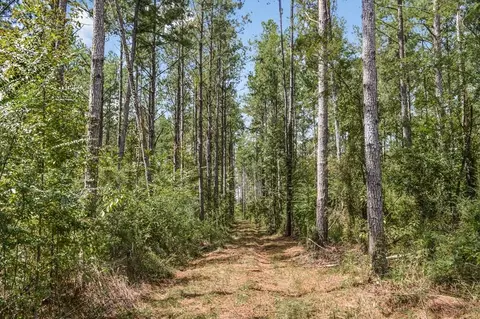 ... Chapel Dr &county Line Rd We Street, Summit, MS 39666