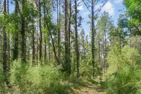 ... Chapel Dr &county Line Rd We Street, Summit, MS 39666 photo 3