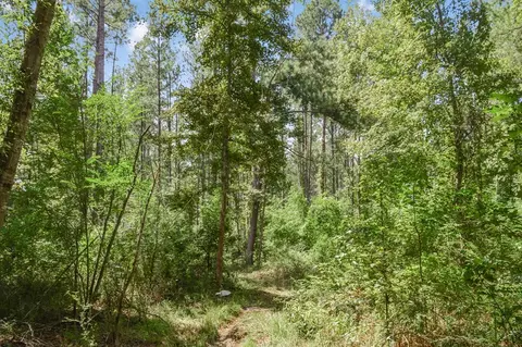 ... Chapel Dr &county Line Rd We Street, Summit, MS 39666 photo 5