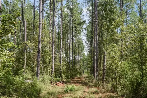 ... Chapel Dr &county Line Rd We Street, Summit, MS 39666 photo 4