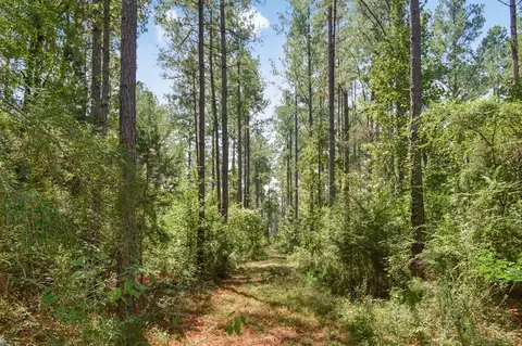 ... Chapel Dr &county Line Rd We Street, Summit, MS 39666 photo 6