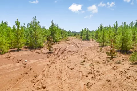 ... Chapel Dr &county Line Rd We Street, Summit, MS 39666 photo 10
