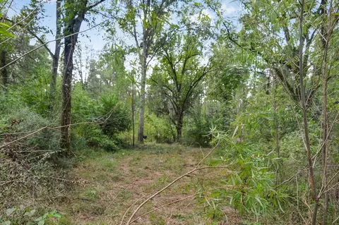 ... Chapel Dr &county Line Rd We Street, Summit, MS 39666 photo 7