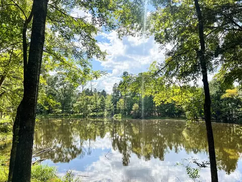 2801 Mobley Rd, Utica, MS 39175 photo 8