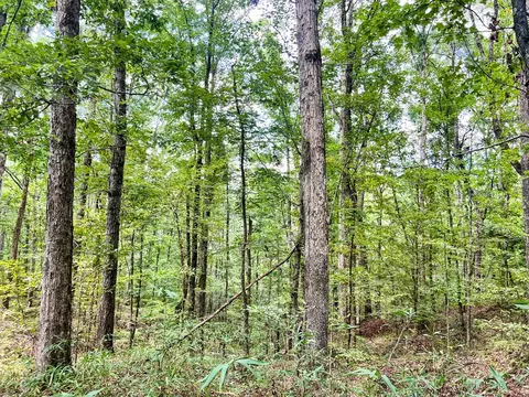 2801 Mobley Rd, Utica, MS 39175 photo 45