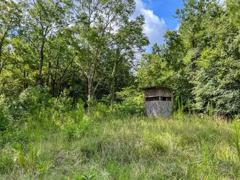 2801 Mobley Rd, Utica, MS 39175 photo 23