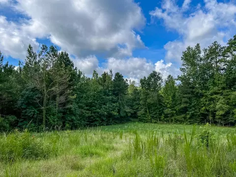 2801 Mobley Rd, Utica, MS 39175 photo 21