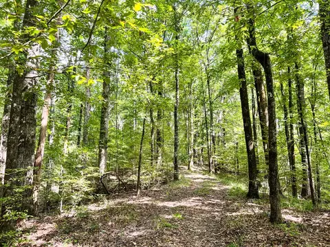 2801 Mobley Rd, Utica, MS 39175 photo 6