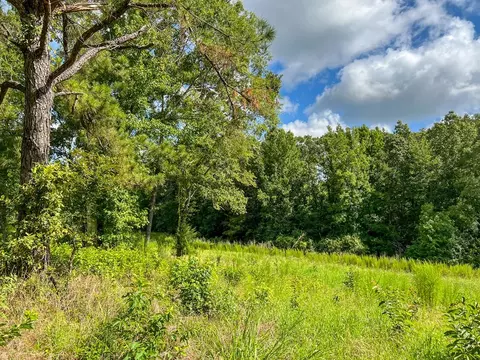 2801 Mobley Rd, Utica, MS 39175 photo 11