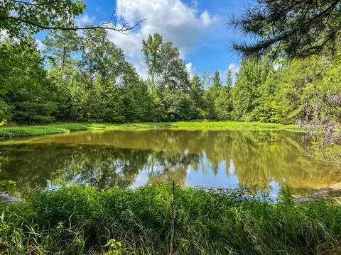 2801 Mobley Rd, Utica, MS 39175 photo 10