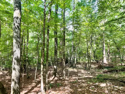 2801 Mobley Rd, Utica, MS 39175 photo 15