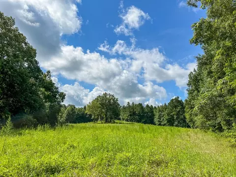 2801 Mobley Rd, Utica, MS 39175 photo 25