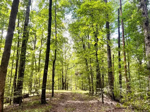 2801 Mobley Rd, Utica, MS 39175 photo 3