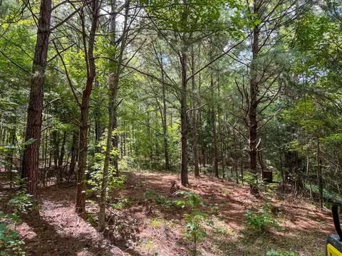 2801 Mobley Rd, Utica, MS 39175 photo 26