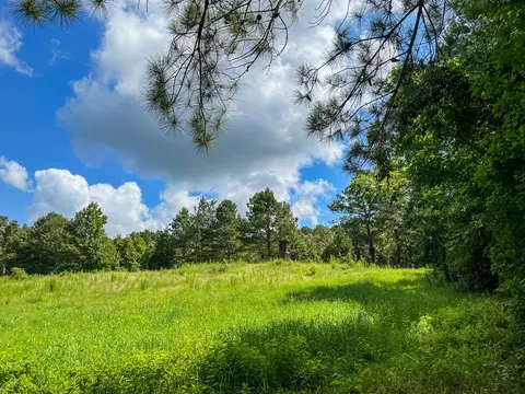 2801 Mobley Rd, Utica, MS 39175 photo 5