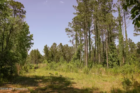 0 Graves Rd, Liberty, MS 39645 photo 8