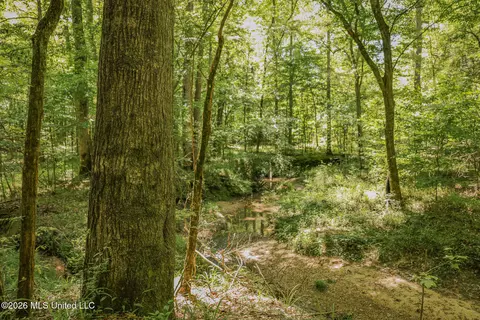 0 Graves Rd, Liberty, MS 39645 photo 18
