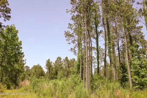 0 Graves Rd, Liberty, MS 39645 photo 9