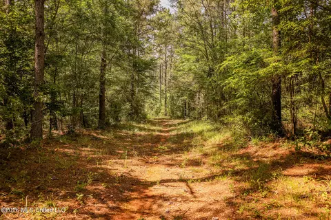 0 Graves Rd, Liberty, MS 39645 photo 17