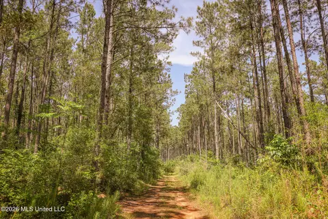 0 Graves Rd, Liberty, MS 39645