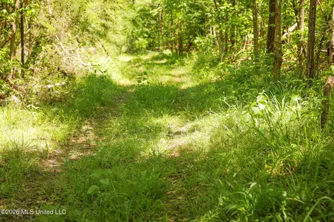 0 Graves Rd, Liberty, MS 39645 photo 4