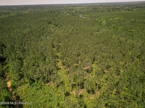 0 Graves Rd, Liberty, MS 39645 photo 36