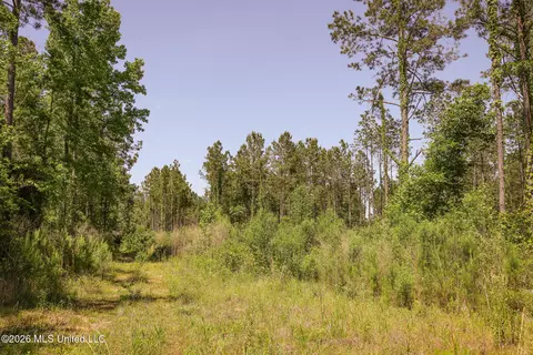 0 Graves Rd, Liberty, MS 39645 photo 10