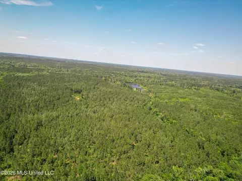0 Graves Rd, Liberty, MS 39645 photo 37