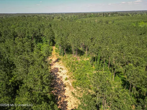 0 Graves Rd, Liberty, MS 39645 photo 39