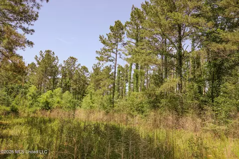 0 Graves Rd, Liberty, MS 39645 photo 11