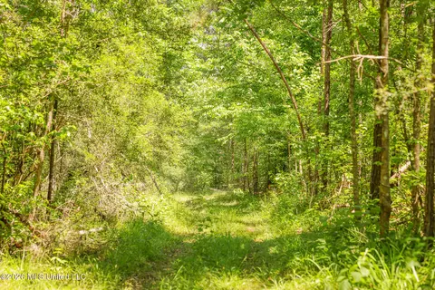0 Graves Rd, Liberty, MS 39645 photo 6