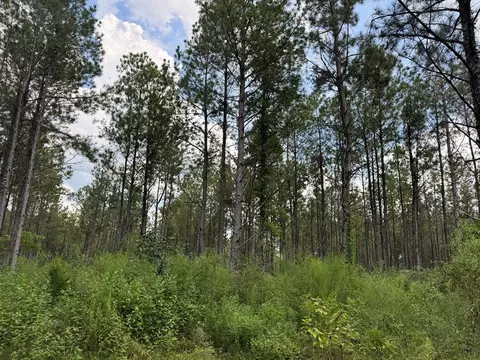 0 Graves Rd, Liberty, MS 39645