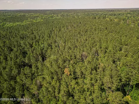 0 Graves Rd, Liberty, MS 39645 photo 40