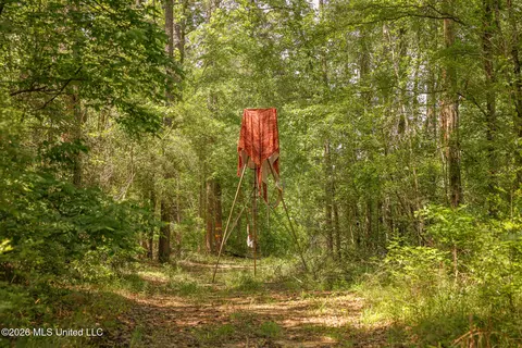 0 Graves Rd, Liberty, MS 39645 photo 5