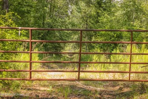 0 Graves Rd, Liberty, MS 39645 photo 3